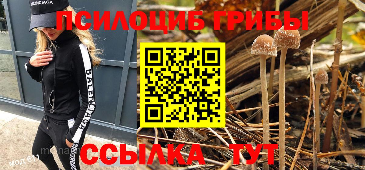 Галлюциногенные грибы MAGIC MUSHROOMS  Вход с VPN  Псилоцибиновые грибы MAGIC MUSHROOMS  хочу   Краснознаменск 