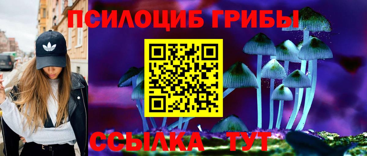 Галлюциногенные грибы прущие грибы Краснознаменск